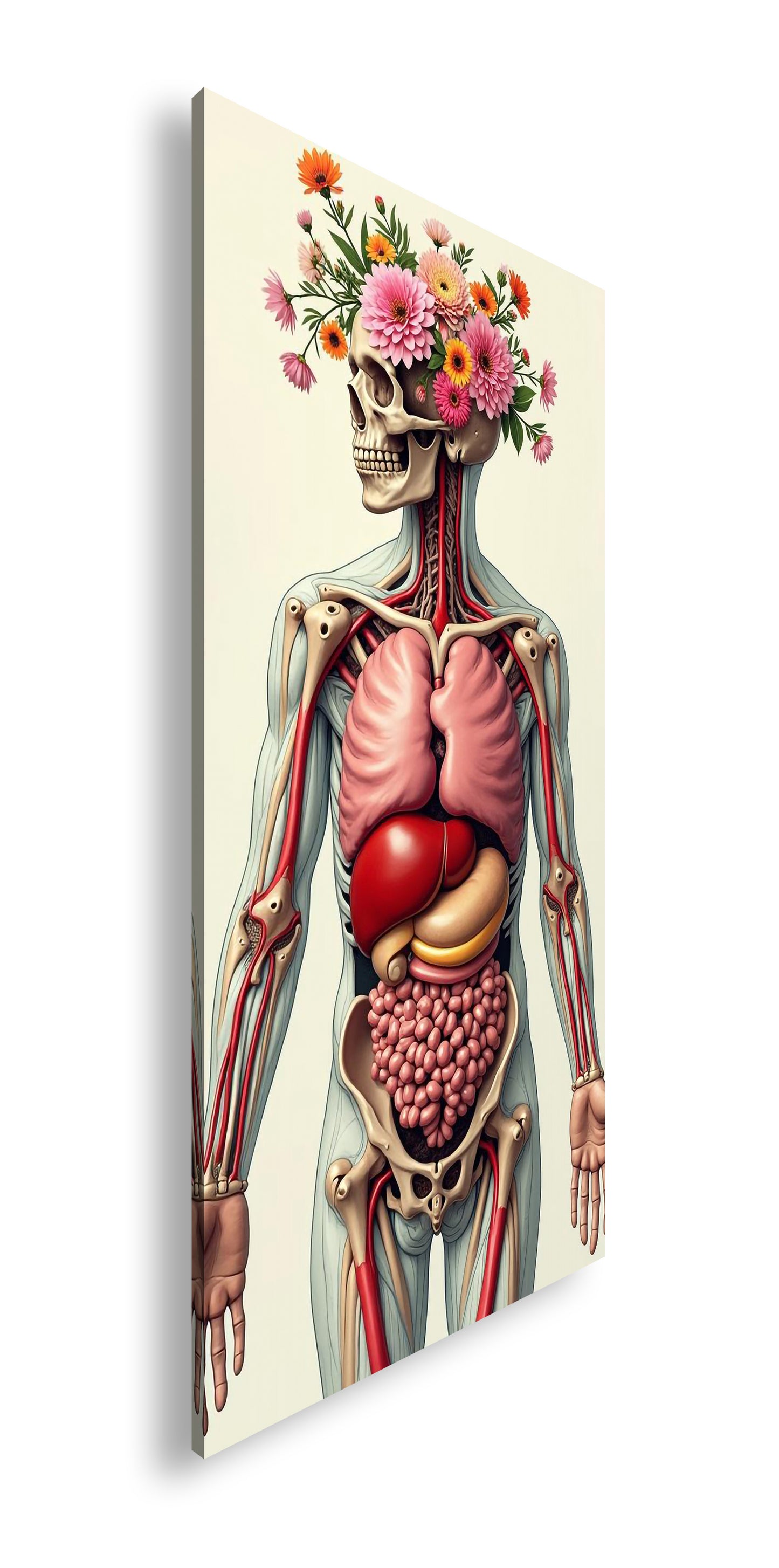 Hauptbild Farbig Panorama