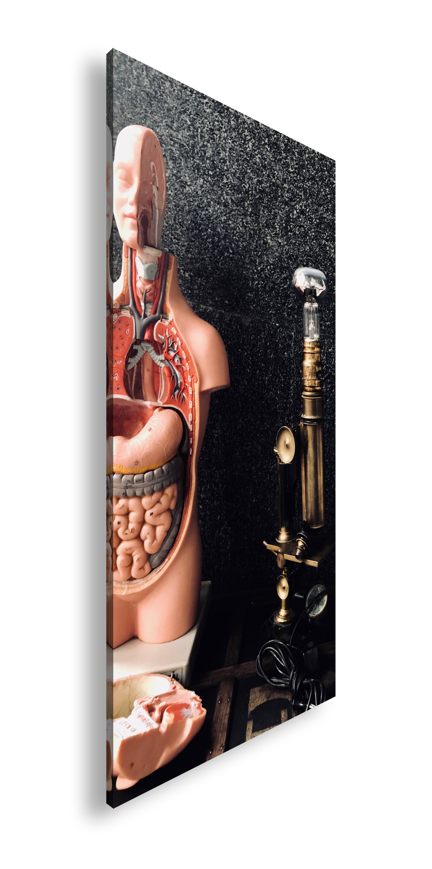 Hauptbild Farbig Panorama