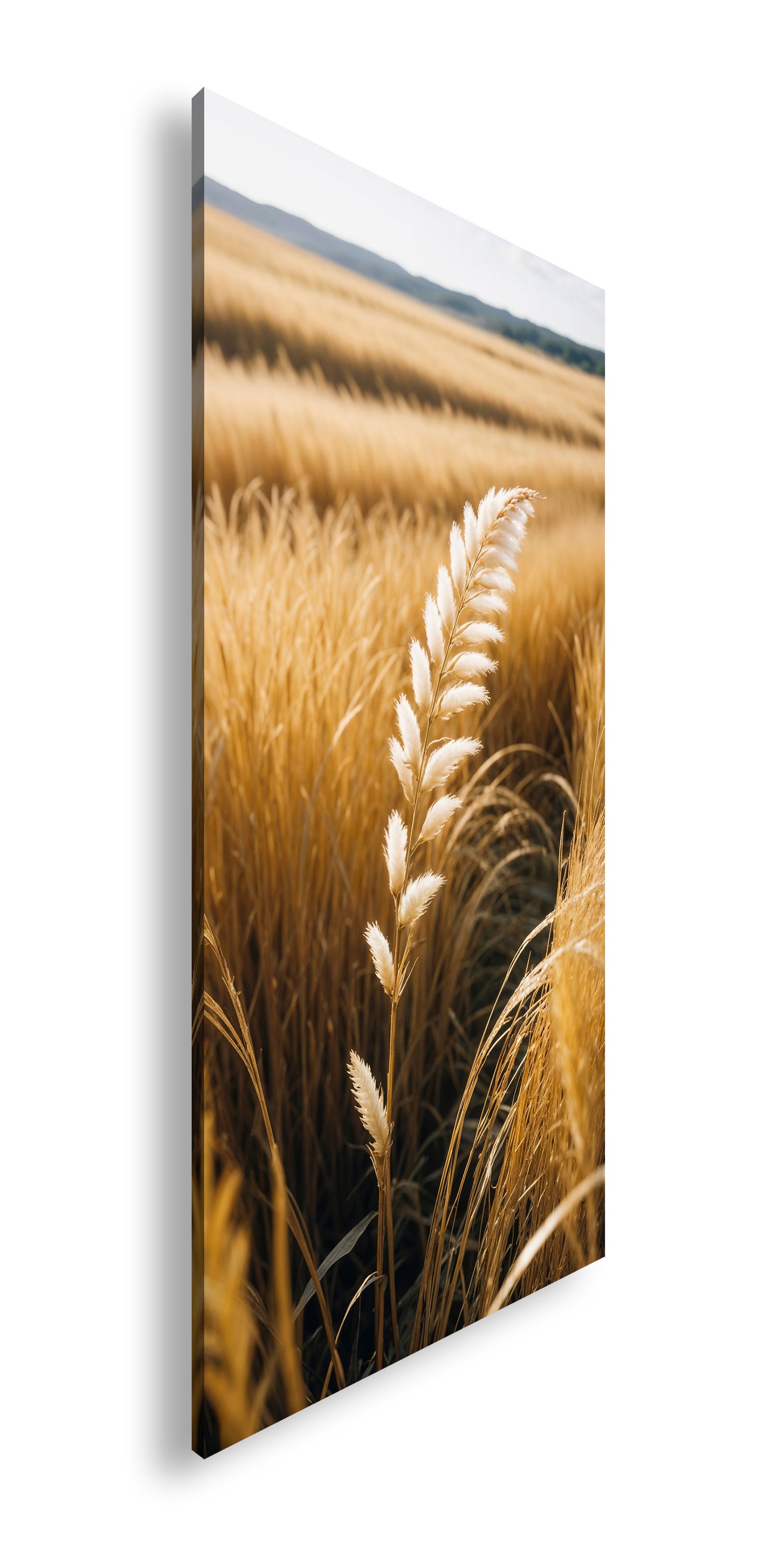 Hauptbild Farbig Panorama