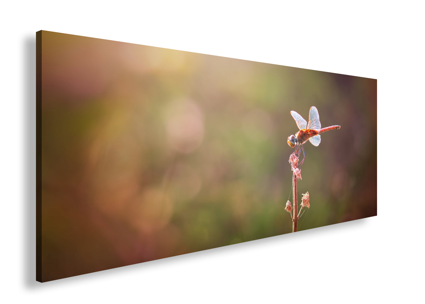 Hauptbild Farbig Panorama