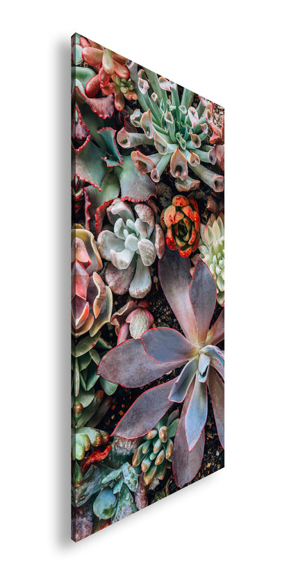 Hauptbild Farbig Panorama