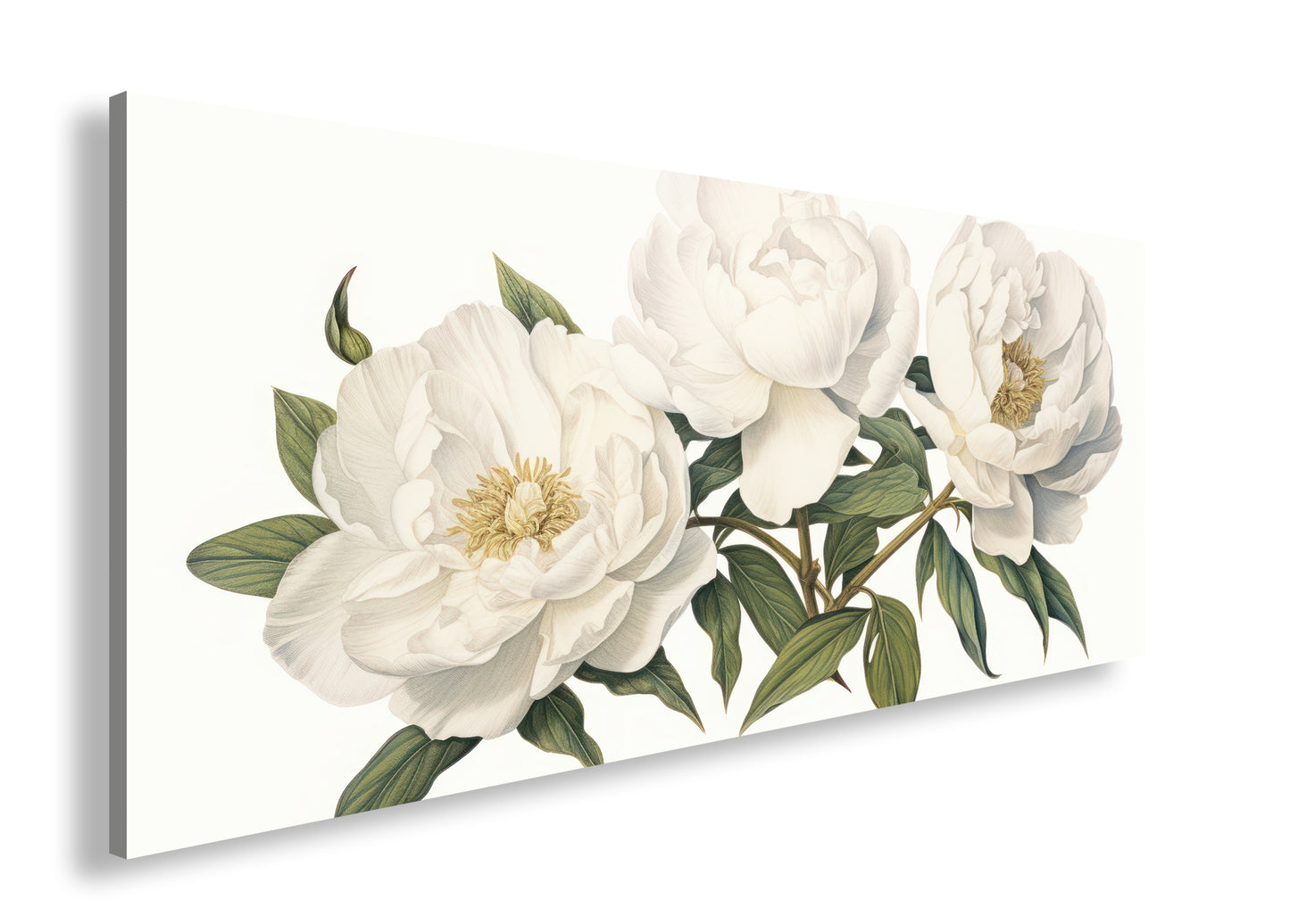 Hauptbild Farbig Panorama