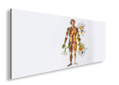 Hauptbild Farbig Panorama