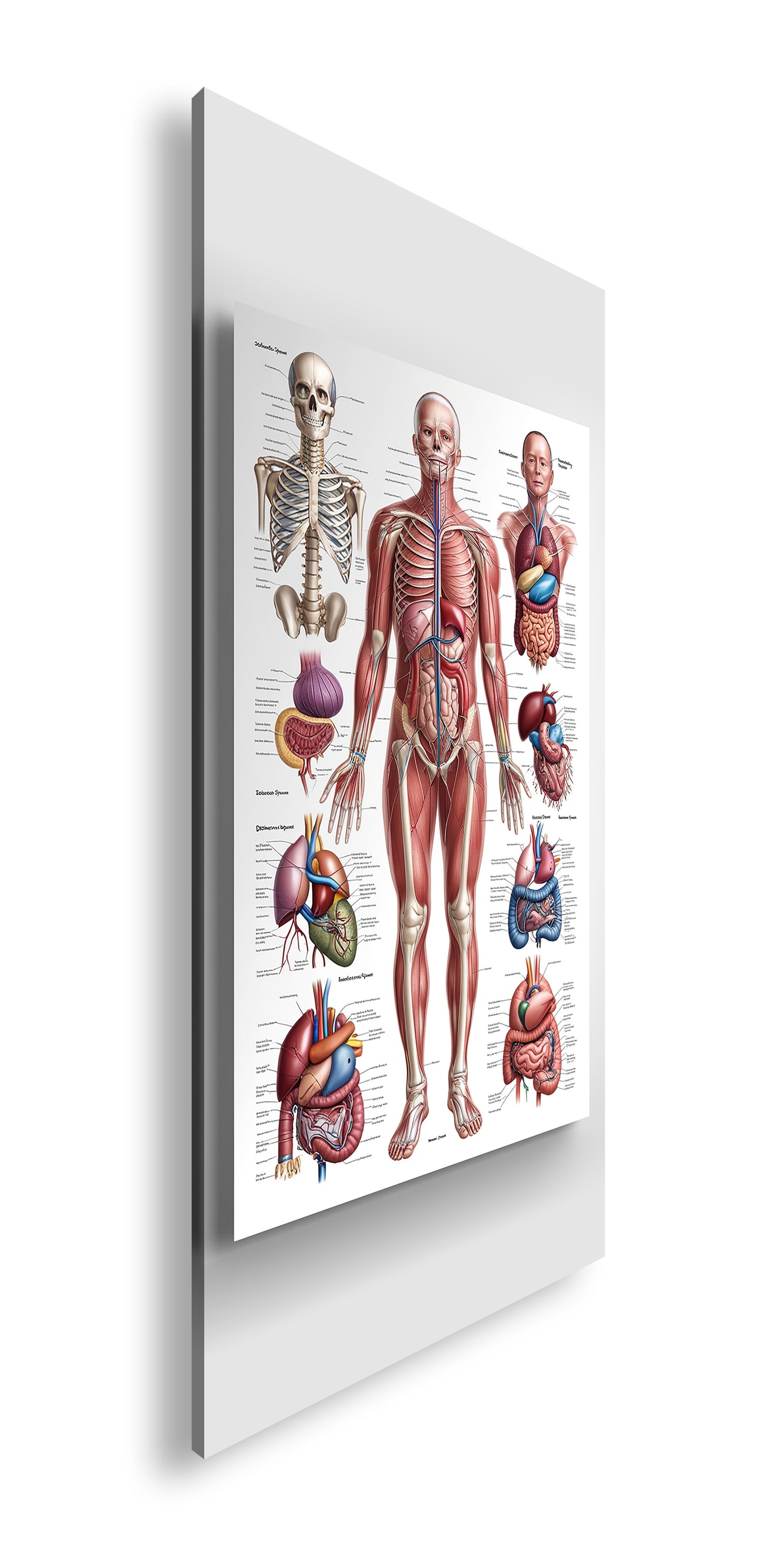 Hauptbild Farbig Panorama