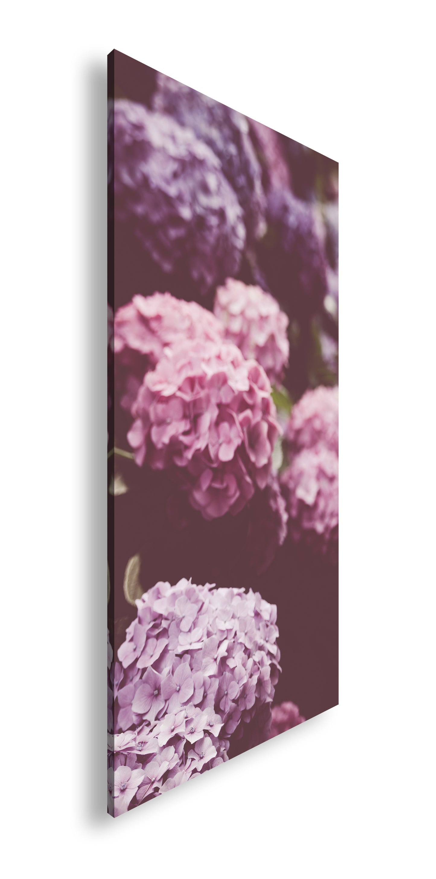 Hauptbild Farbig Panorama