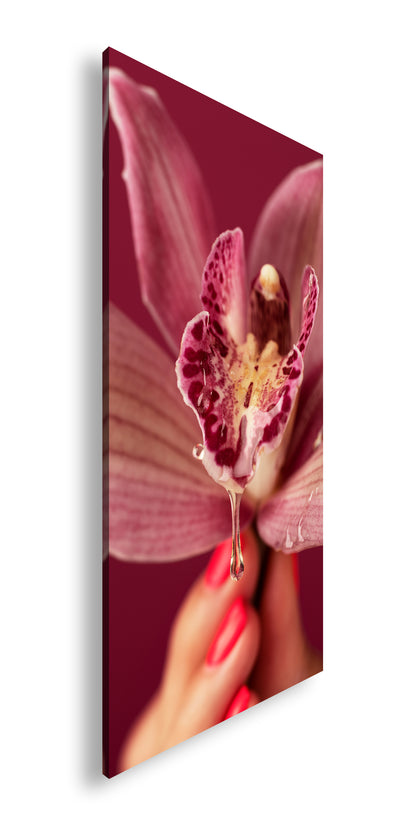 Hauptbild Farbig Panorama