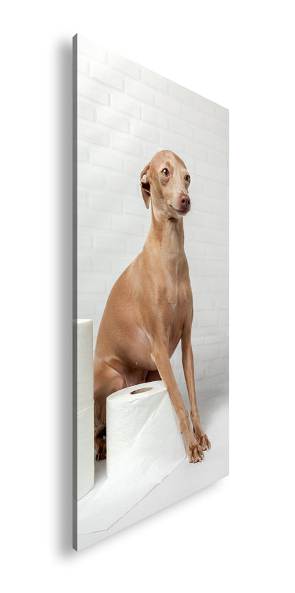 Hauptbild Farbig Panorama