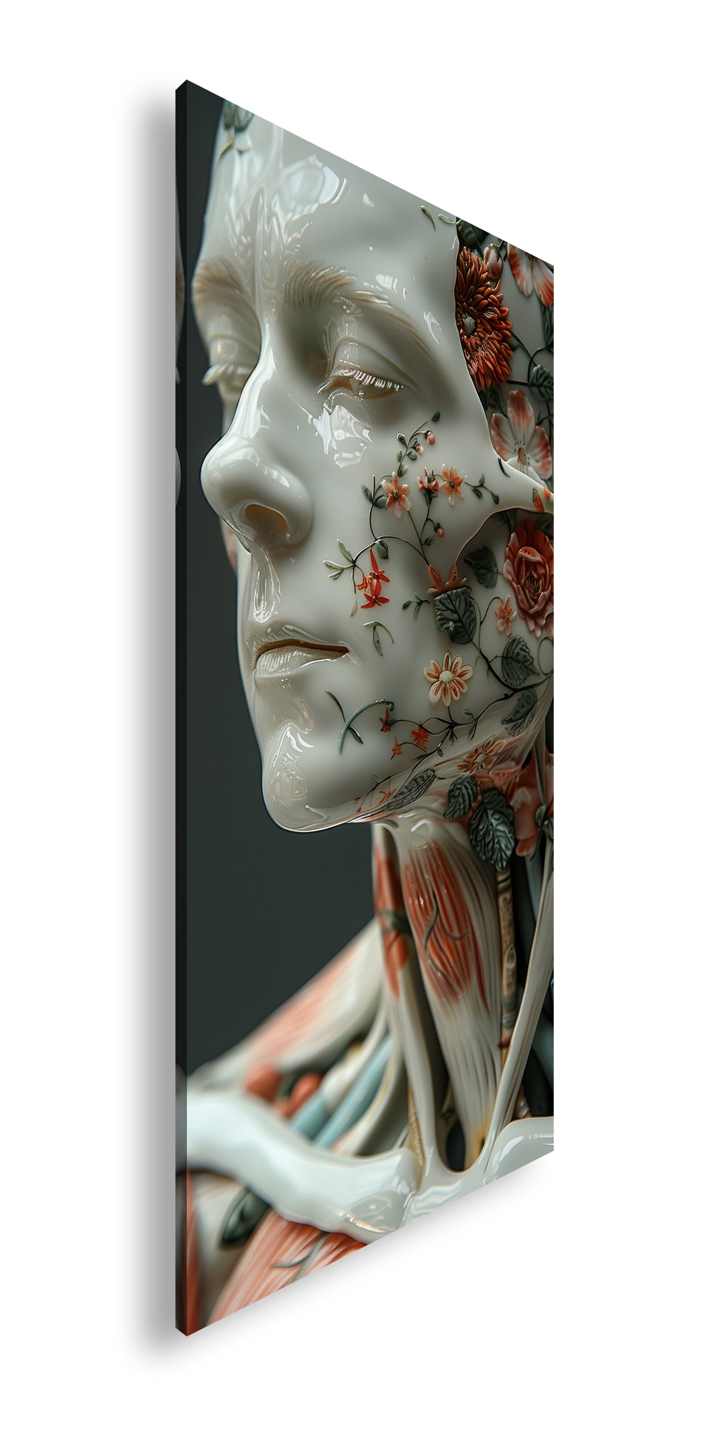 Hauptbild Farbig Panorama