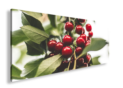 Hauptbild Farbig Panorama