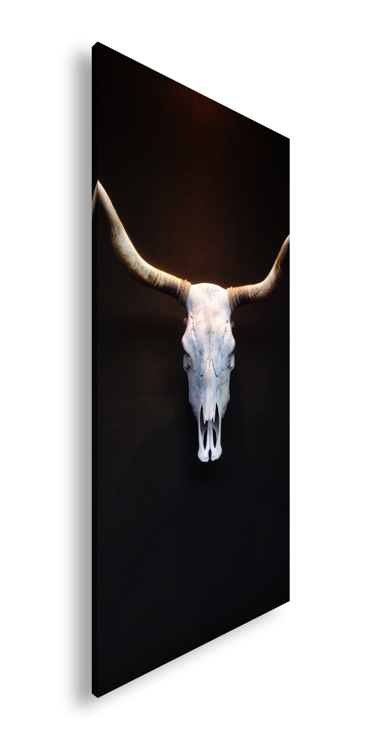 Hauptbild Farbig Panorama