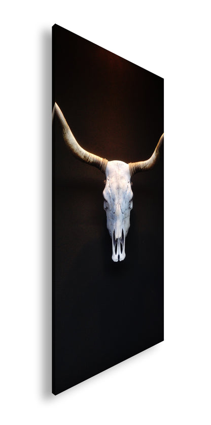 Hauptbild Farbig Panorama