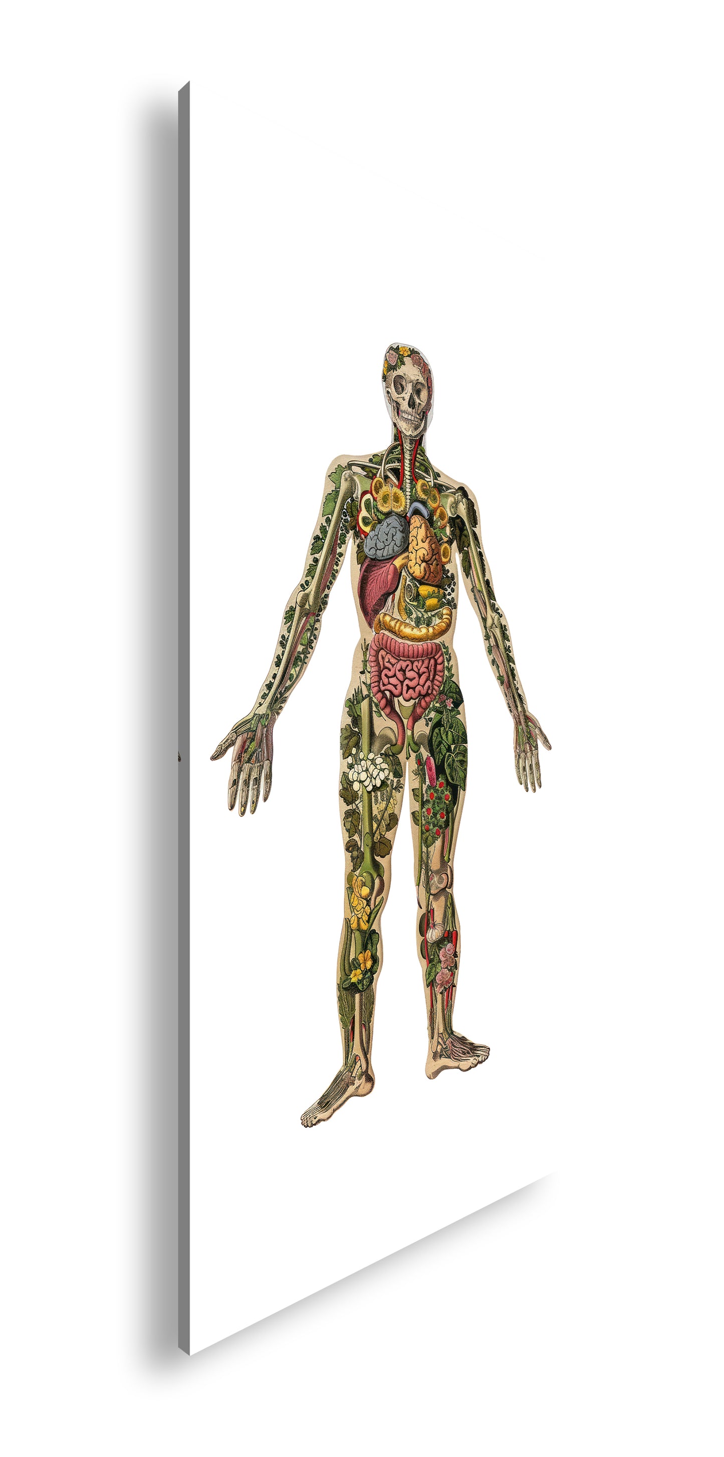 Hauptbild Farbig Panorama