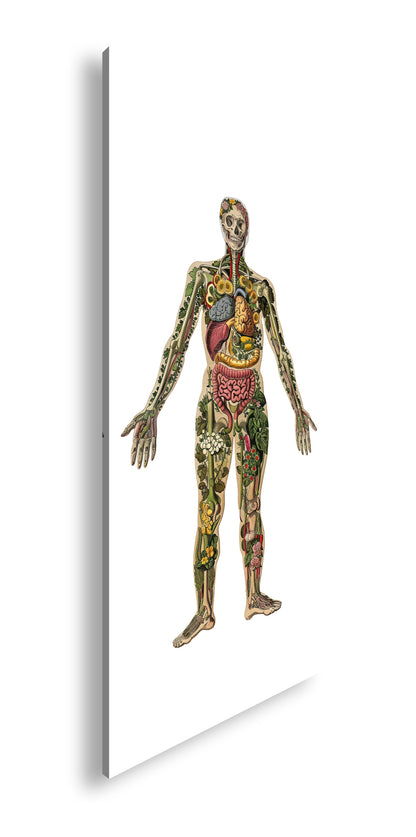 Hauptbild Farbig Panorama