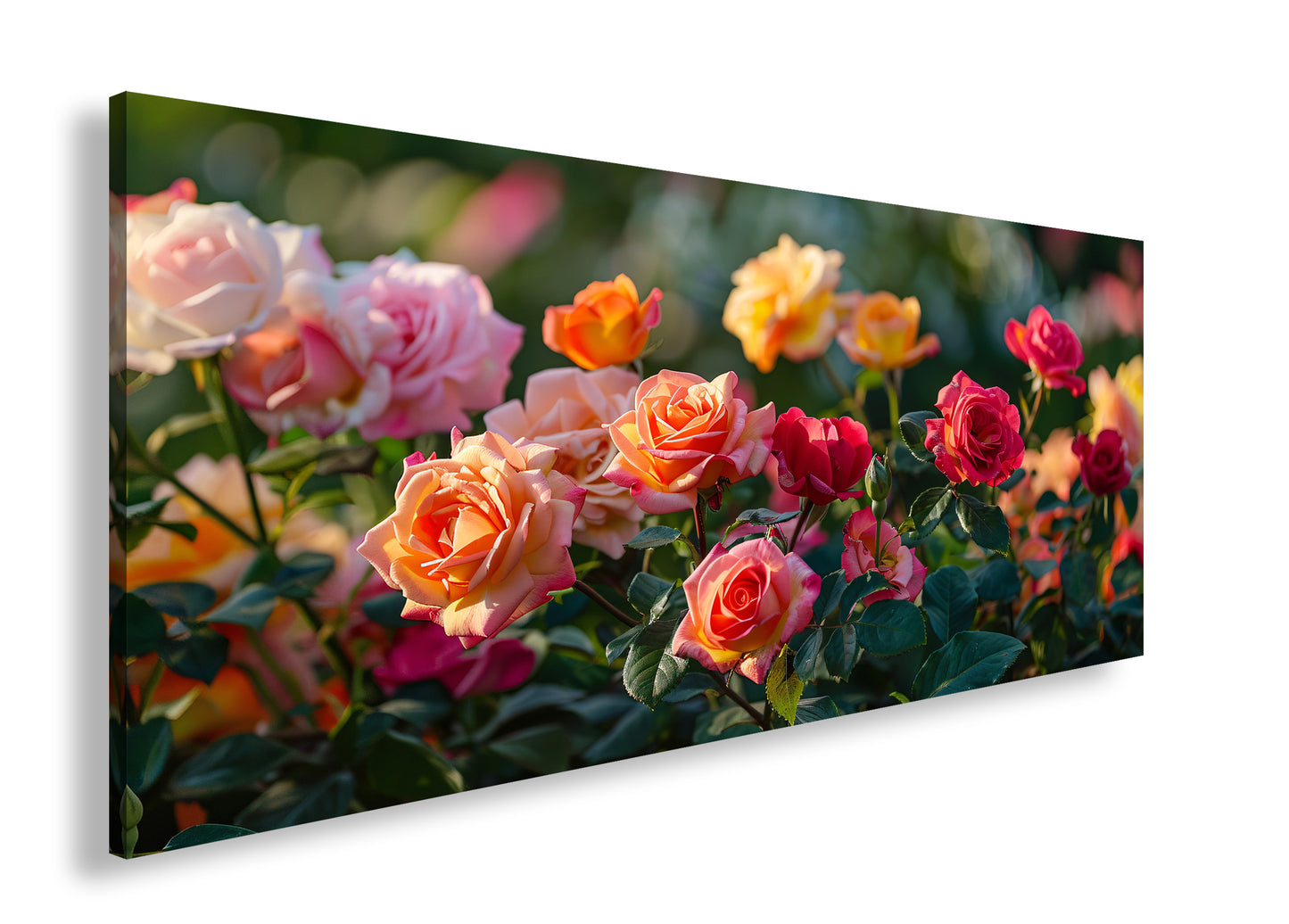 Hauptbild Farbig Panorama