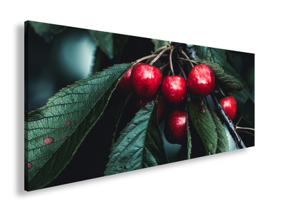 Hauptbild Farbig Panorama