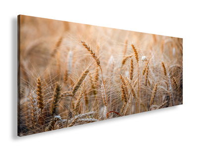 Hauptbild Farbig Panorama