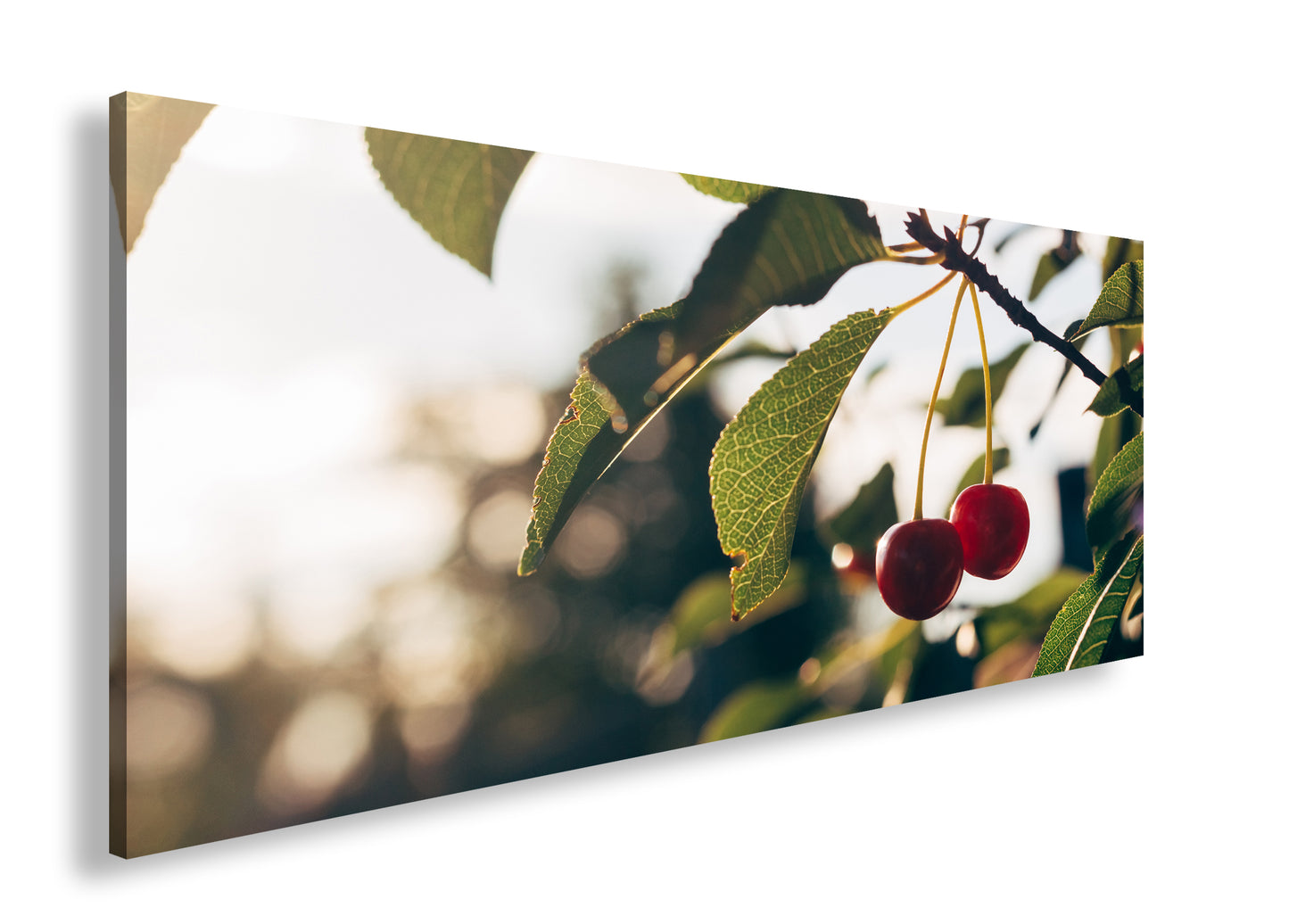 Hauptbild Farbig Panorama