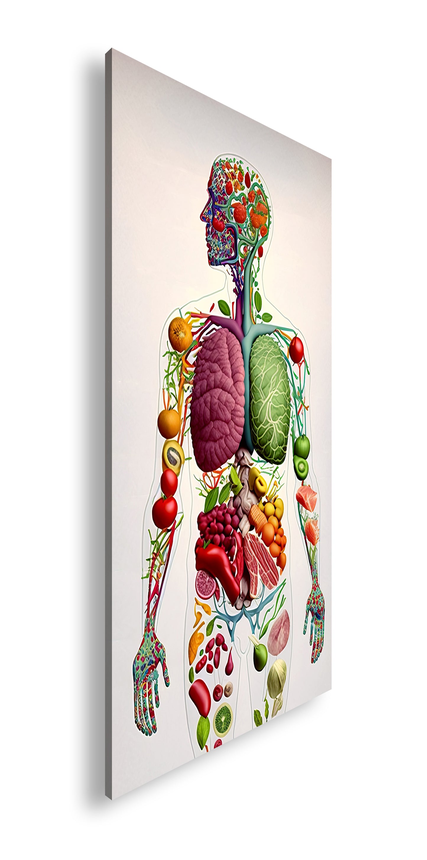 Hauptbild Farbig Panorama