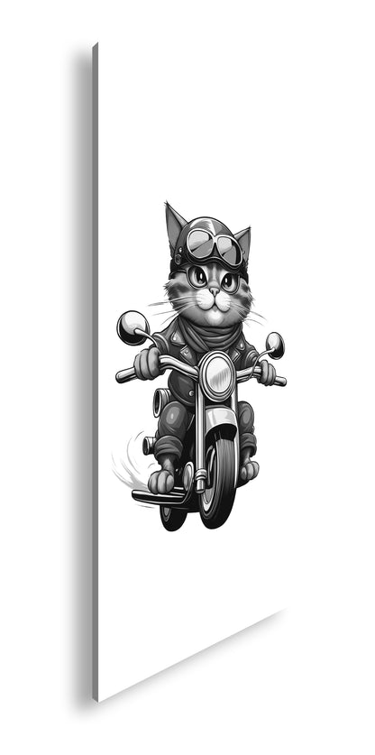 Hauptbild Schwarz & Weiß Panorama