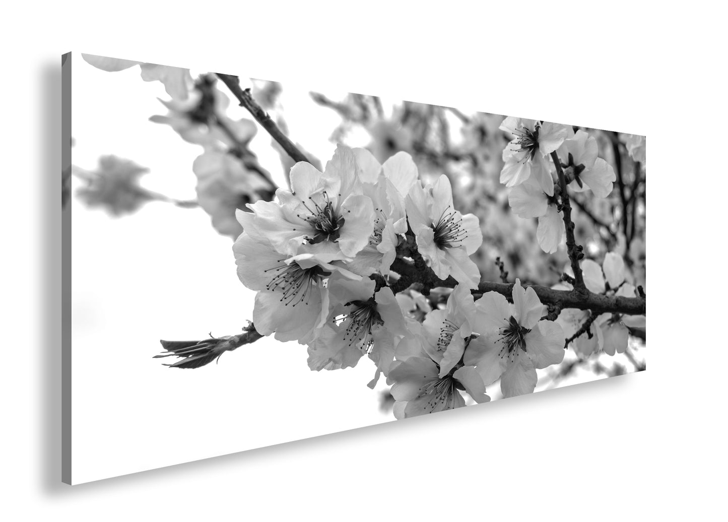 Hauptbild Schwarz & Weiß Panorama