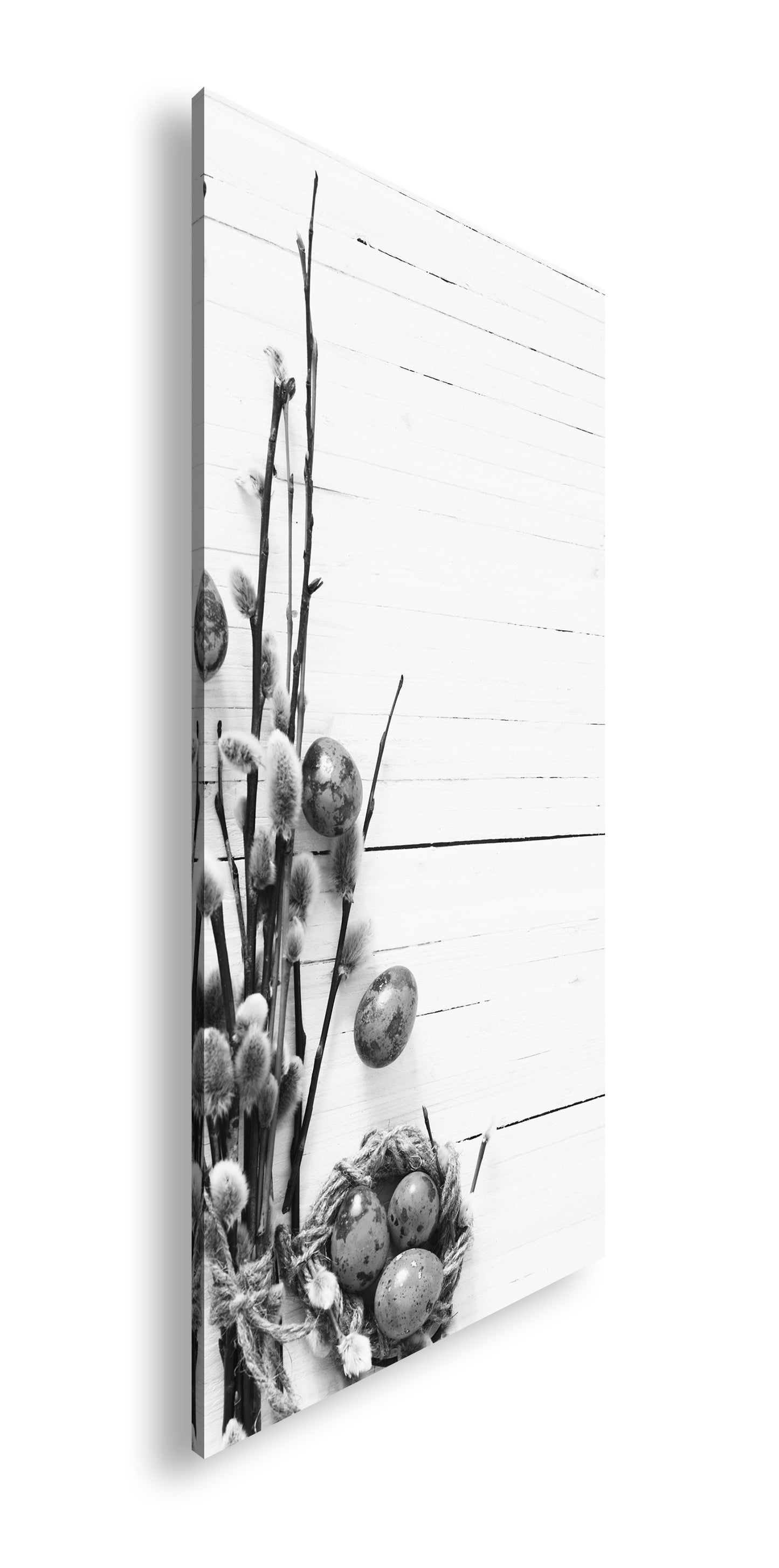 Hauptbild Schwarz & Weiß Panorama