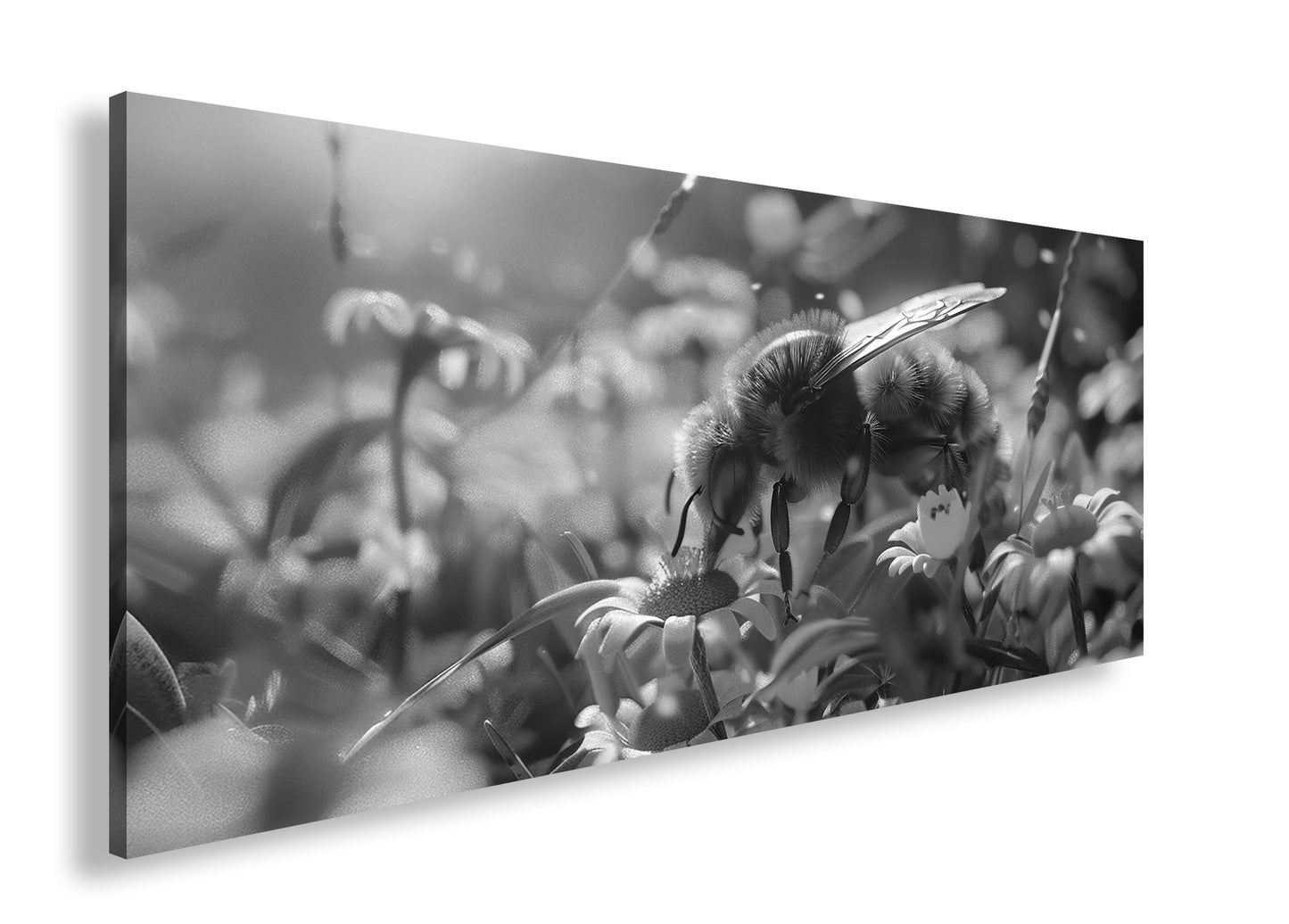 Hauptbild Schwarz & Weiß Panorama