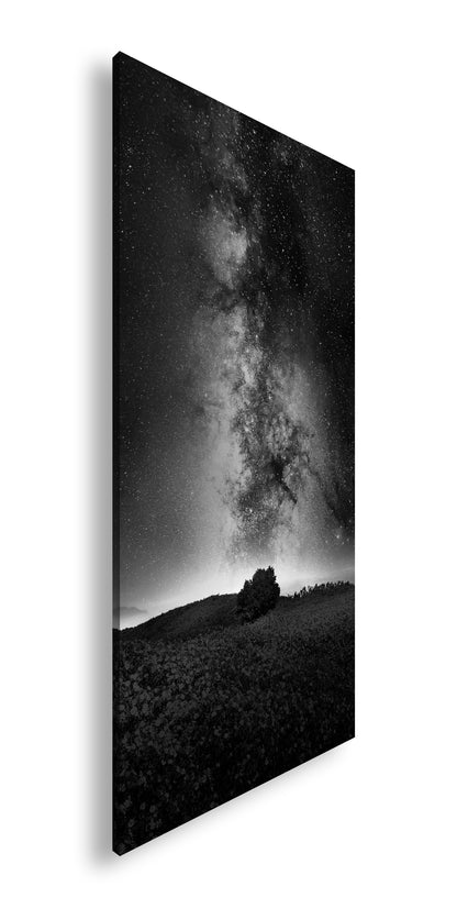 Hauptbild Schwarz & Weiß Panorama