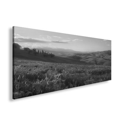 Hauptbild Schwarz & Weiß Panorama