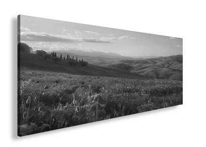 Hauptbild Schwarz & Weiß Panorama