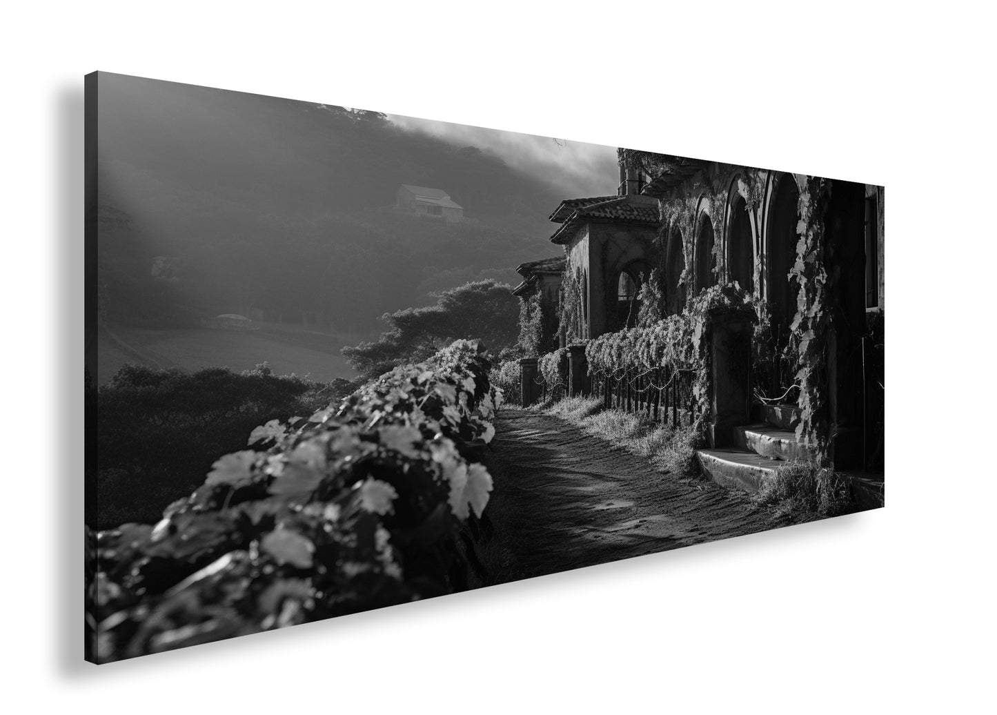 Hauptbild Schwarz & Weiß Panorama