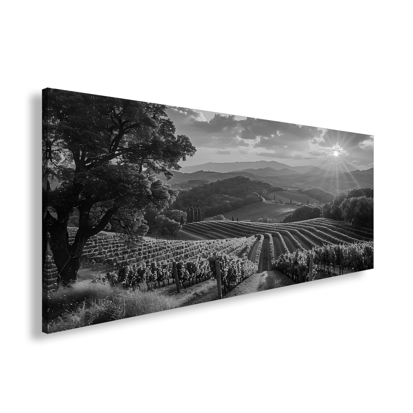 Hauptbild Schwarz & Weiß Panorama