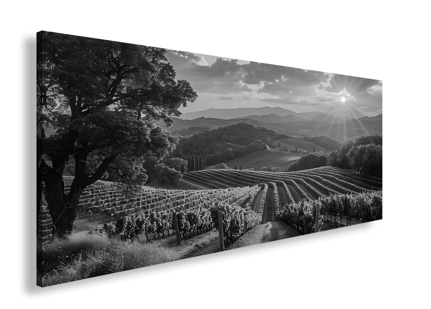 Hauptbild Schwarz & Weiß Panorama