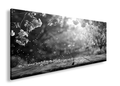 Hauptbild Schwarz & Weiß Panorama