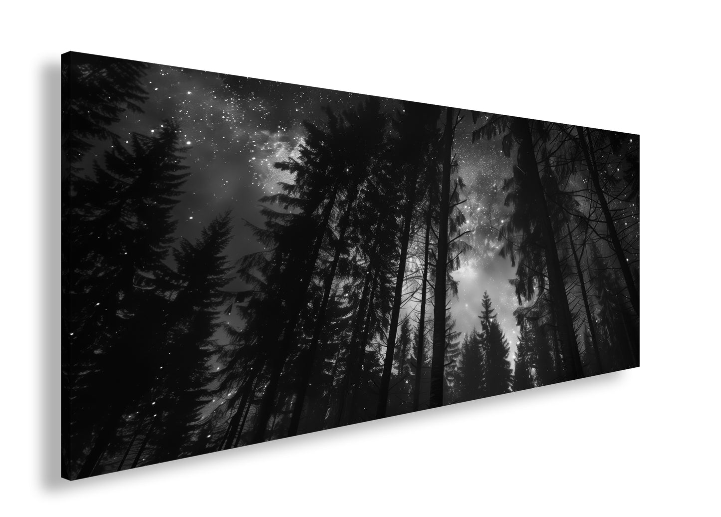 Hauptbild Schwarz & Weiß Panorama