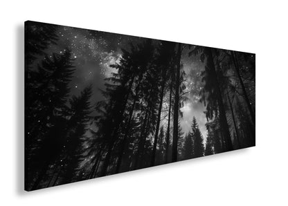 Hauptbild Schwarz & Weiß Panorama