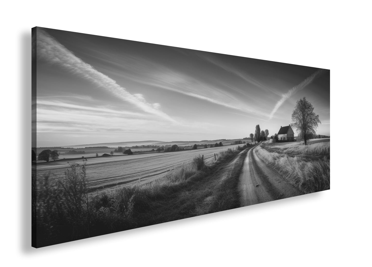 Hauptbild Schwarz & Weiß Panorama