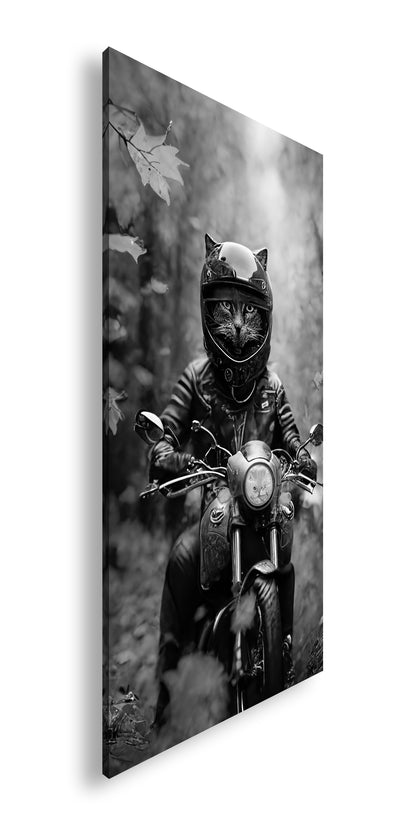 Hauptbild Schwarz & Weiß Panorama