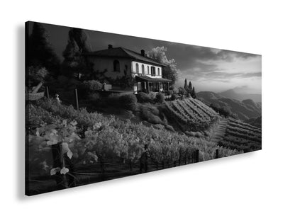 Hauptbild Schwarz & Weiß Panorama