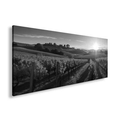 Hauptbild Schwarz & Weiß Panorama