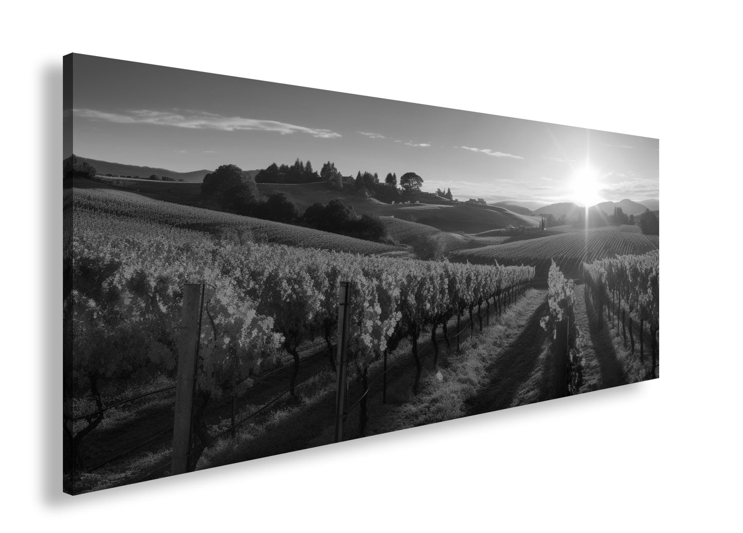 Hauptbild Schwarz & Weiß Panorama