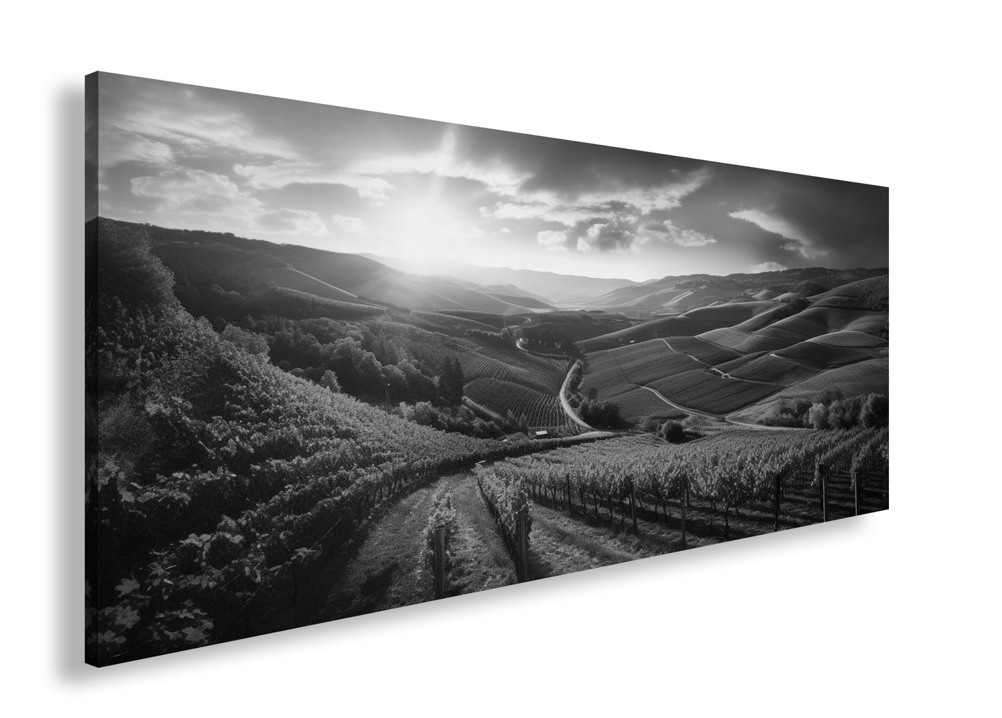 Hauptbild Schwarz & Weiß Panorama