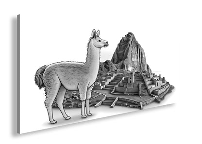 Hauptbild Schwarz & Weiß Panorama