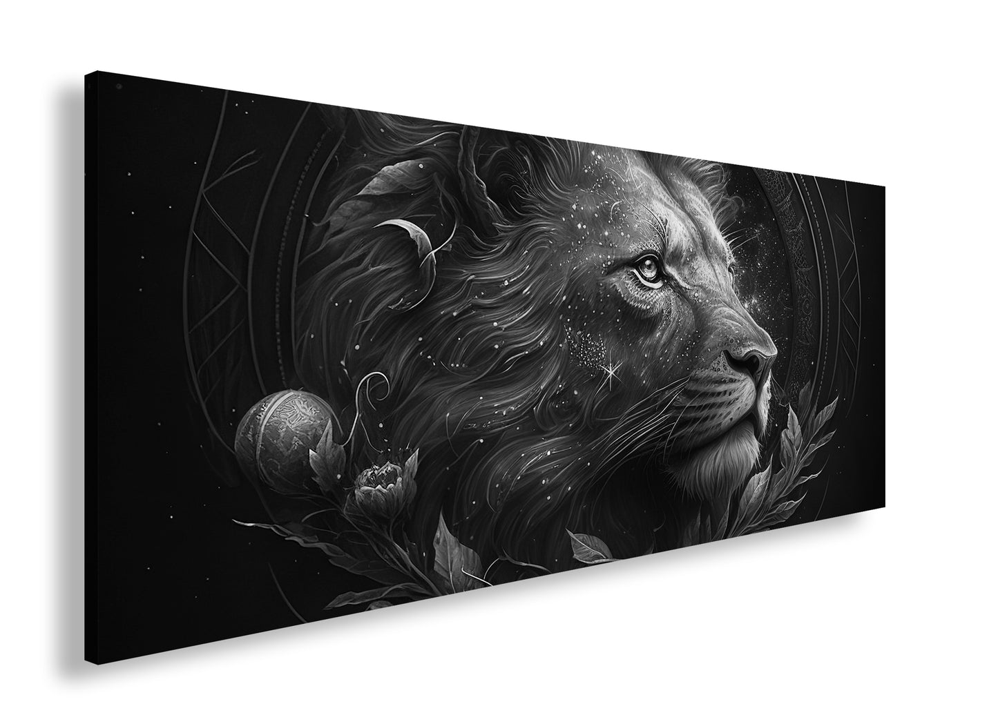 Hauptbild Schwarz & Weiß Panorama