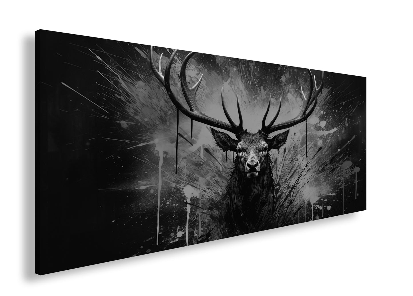 Hauptbild Schwarz & Weiß Panorama