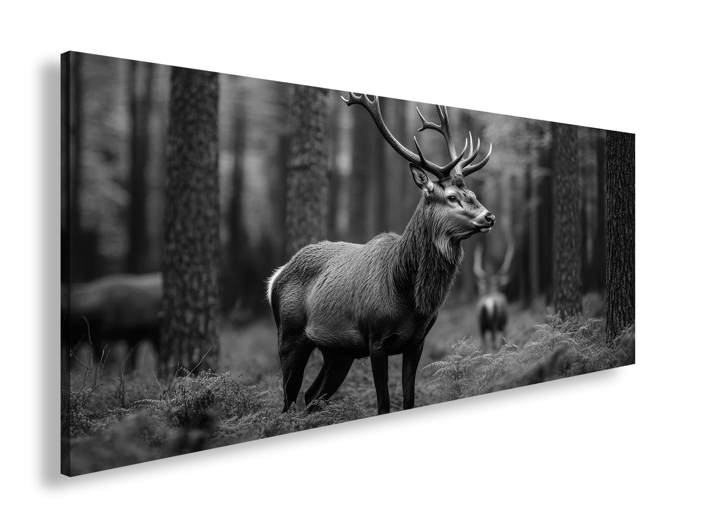 Hauptbild Schwarz & Weiß Panorama