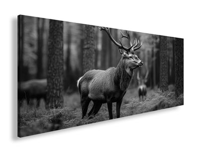 Hauptbild Schwarz & Weiß Panorama