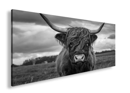 Hauptbild Schwarz & Weiß Panorama