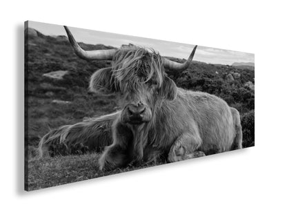 Hauptbild Schwarz & Weiß Panorama