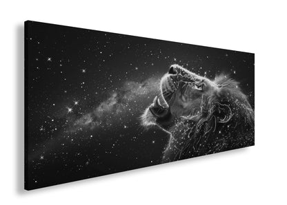 Hauptbild Schwarz & Weiß Panorama