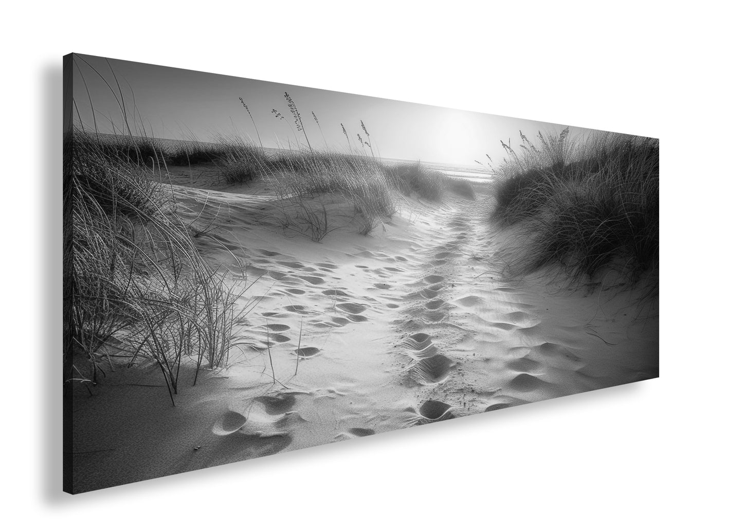 Hauptbild Schwarz & Weiß Panorama